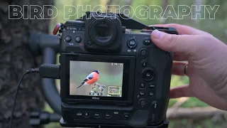When WILDLIFE come CLOSE || BIRD PHOTOGRAPHY - camera settings