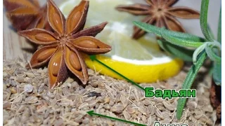 Анис и бадьян - сходства и различия пряностей (Anise and star anise)