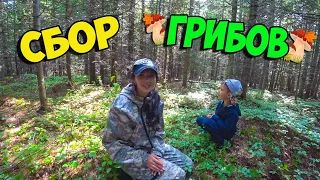 МОРЕ ГРИБОВ на Сахалине.  Моя семья - ГРИБНАЯ МАФИЯ!!!)