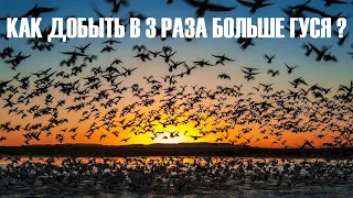 ✅ЧЕМ ЛУЧШЕ СТРЕЛЯТЬ ГУСЯ?