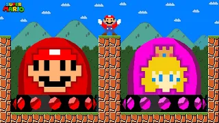 Can Mario Press the Ultimate Mario and Peach Switch in New Super Mario Bros.? | Game Animation