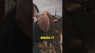 ABANDONED On The Side Of The Road ~ RESCUE HORSE gets Chiropractic Adjustments for Arthritis!