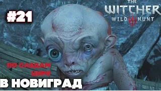 The Witcher 3 ➤ Прохождение #21 ➤ По следам Цири: В Новиград