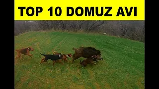 Wild boar attack the hunter - wildboar hunting DOMUZ AVI EN İYİ 10 vuruş