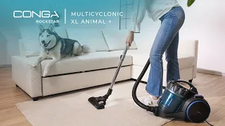 Aspirateur traîneau Conga Rockstar Multicyclonic XL Animal Plus 800, multicyclonique sans sacs.