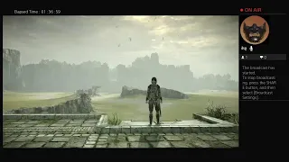 Taking down colossus |shadow of The colossus (Live stream 3)