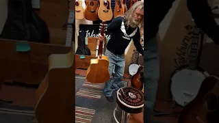 New Gibson Acoustic VS Seagull VS Taylor