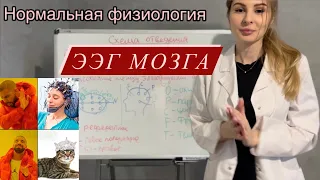 Полный разбор ЭЭГ🧠|Физиология|Электроэнцефалография