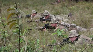 Exercise Cartwheel 2022 Jungle Training