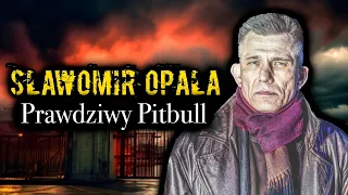 SŁAWEK OPALA 1 I PIES z POWOŁANIA | PITBULL | DESPERO podkomisarz | POLICJA w latach 90’ |