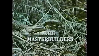 The Masterbuilders (1984)