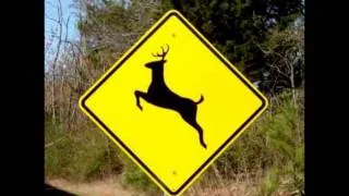 Please Move The Deer Crossing Sign ?? OMG Hilarious