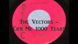 The Vectors - Cry Me 1000 Tears ('60s GARAGE PSYCH)