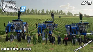 Big GRAPE HARVEST with New Hollands | Haut-Beyleron | Farming Simulator 22 Multiplayer | Episode 3