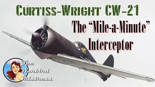 Curtiss Wright CW-21 Interceptor - Part One: The Need for an Interceptor