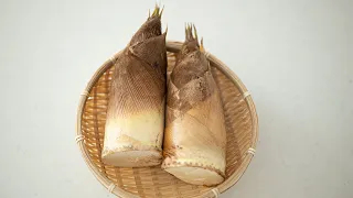 Do you know how to cook Fresh  BAMBOO SHOOT ? | Perfect Guide | Japanese spring delicacy