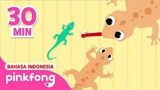 Cicak di Dinding, Pok Ame-ame dan lain | Kumpulan Lagu Anak | Pinkfong Baby Shark Indonesia