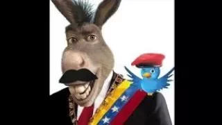 las  burradas de maduro "el pajarito"