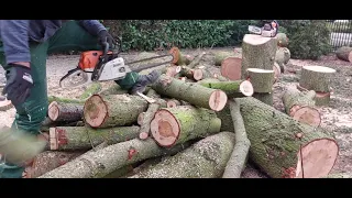 Drujba ideală pentru gospodărie!!! Tăiem lemne pentru vreme rea cu🍂🍁 Stihl MS 241C 🪵