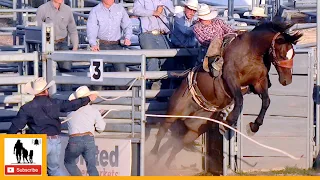 Bronc Riding 🐴 2023 West Texas Ranch Rodeo | Friday
