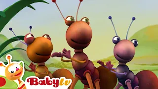 Big Bugs Band - Nge-jam di Jamaika | BabyTV Bahasa Indonesia