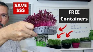 Save Big Bucks, Easy Everyday Containers for You to Grow Microgreens
