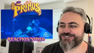 Australian Metalhead reacts to Primus - “Tommy the Cat”