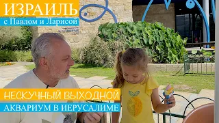 Израиль | Иерусалим | Нескучный выходной | Аквариум Израиля