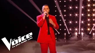 Jacques Brel - La Chanson des Vieux Amants  | Vay | The Voice 2019 | Live Audition