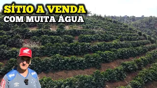 OPORTUNIDADE DE VOCÊ COMPRAR UM SITIO COM CAFÉ E MUITA ÁGUA NO INTERIOR DE MINAS GERAIS