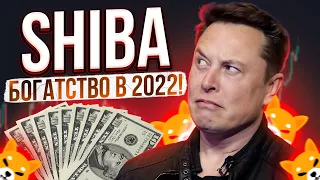 ОГРОМНЫЙ РОСТ ШИБА? АНАЛИЗ ЦЕНЫ ШИБА ИНУ!