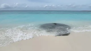 Мальдивы 2021 остров Thulhagiri island resort & SPA