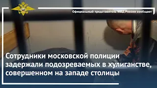 Ирина Волк:В Москве полицейские задержали подозреваемых в хулиганстве, совершенном на западе столицы