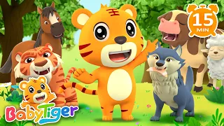 Animals Songs | Kids Songs | Nursery Rhymes | Songs for Kids | BabyTiger