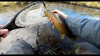 Small River Fly Fishing at its Best