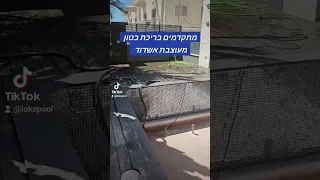 מתקדמים באשדוד בריכת בטון שלב הדבקת פסיפס החלום שלכם המומחיות שלנו