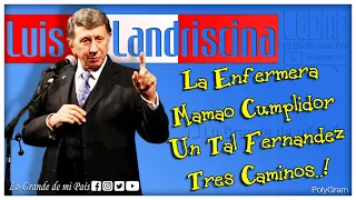 #LuisLandriscina | La Enfermera - Mamao Cumplidor - Un Tal Fernandez - Tres Caminos! (ARCHIVO 2010)