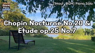 [1Hour] Chopin Nocturne No.20 in C# minor & Etude op.25 No.7 (쇼팽 녹턴 20번 & 에튜드 op. 25 no.7)