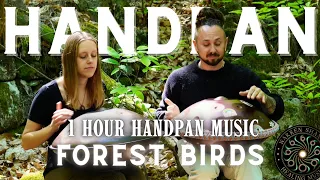 Forest Birds I 1 Hour Handpan music I Hangala & Warren Shanti