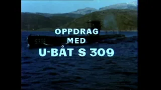 Oppdrag med ubåt S 309 Kaura