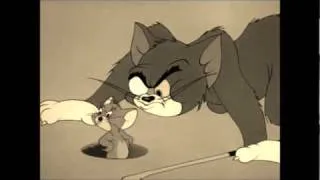 Tom and Jerry AMV-What I've Done