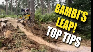 TOP TIPS for BAMBI'S HOP - Cannock Chase