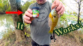 How To Use Gulp Minnows