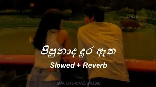 Pipunada Dura Atha (පිපුණාද දුර ඈත) | Slowed + Reverb @Sayuruu_