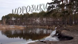 МОРОЗИКИ | 25.03.24 #ОгненныеНарвалы #МоржиОтрадного #МоржиВоронежа #ВерниськИстокам