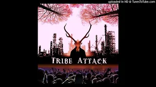 TOXIC NIGHTMARE - Tribe Attack