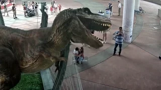 Augmented Reality dinosaurs: Jurassic Park BroadcastAR experience at Universal Studios by INDE