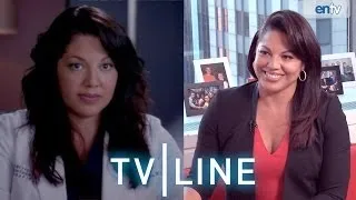 "Grey's Anatomy" Star Sara Ramirez on Callie/Arizona, Malpractice...Possible Exit?? - Spoiler Alert!