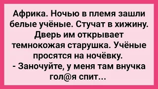 Как Ученные в Хижине Ночевали! Сборник Свежих Смешных Жизненных Анекдотов!