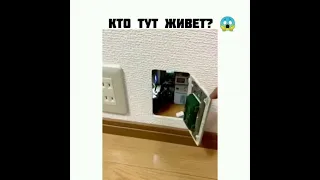 Лучшие видео из Инстаграм / Top video Instagram 💥12